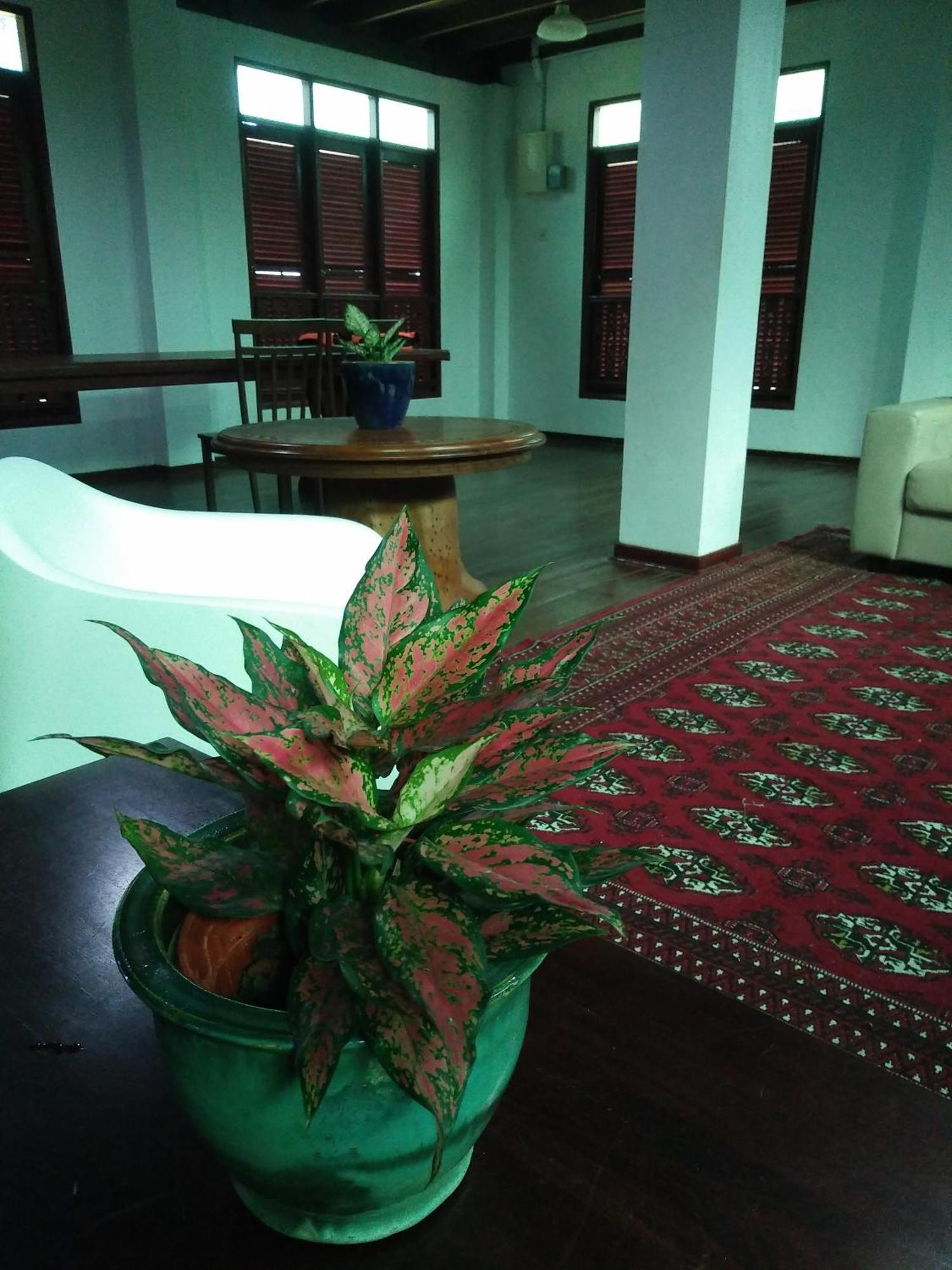 thesanctuary@telagapapan Villa Kampung Hulu Caluk Luaran gambar